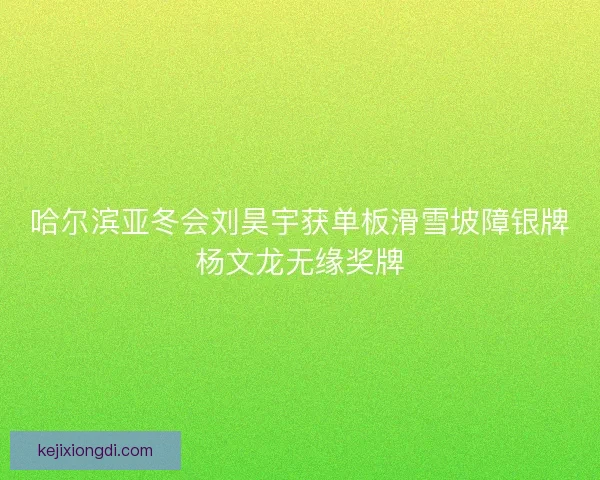哈尔滨亚冬会刘昊宇获单板滑雪坡障银牌杨文龙无缘奖牌