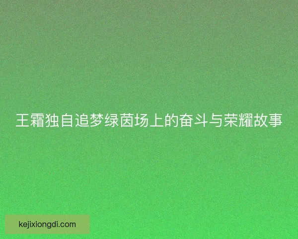 王霜独自追梦绿茵场上的奋斗与荣耀故事