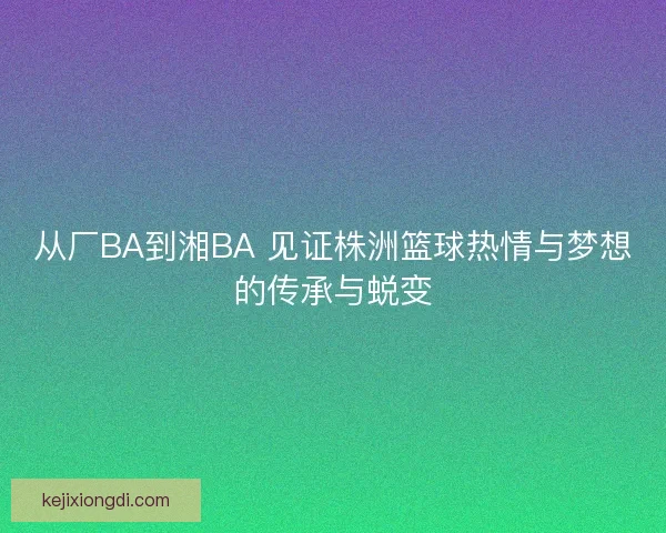 从厂BA到湘BA 见证株洲篮球热情与梦想的传承与蜕变
